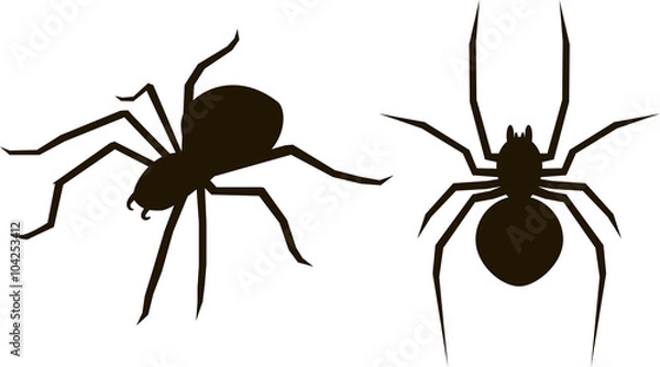 Obraz Two silhouette with spiders