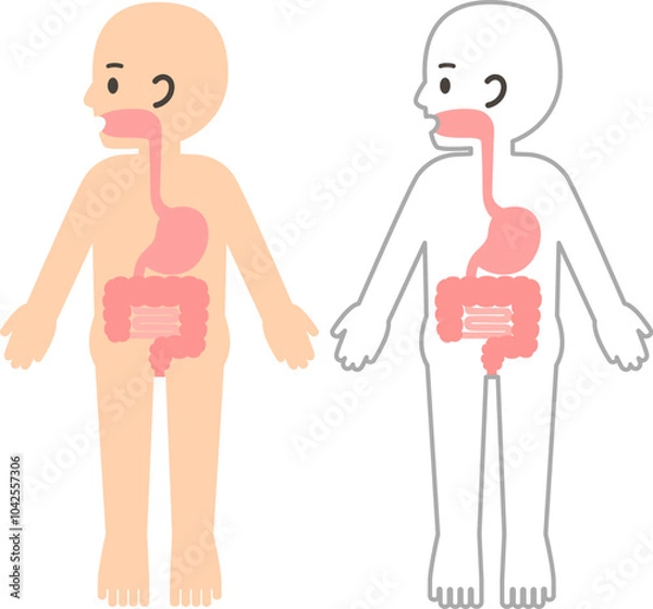 Obraz 人の体と消化器、胃腸のデフォルメイラスト
