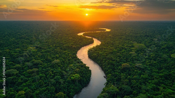 Fototapeta Aerial View of a River Winding Through the Amazon Rainforest at 