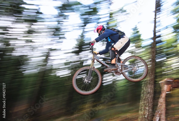 Obraz A skilled mountain biker.