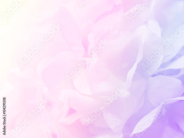 Fototapeta Flower background 22