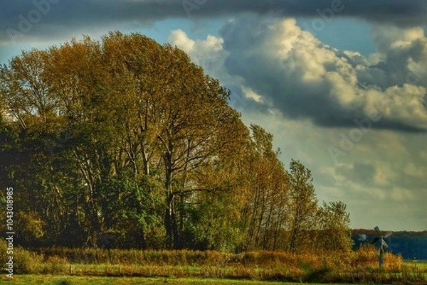 Obraz landscape with a tree