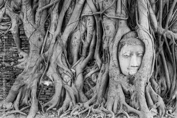 Obraz Buddha's Head in Tree Roots, Wat Mahathat, Ayutthaya, Black and White Color