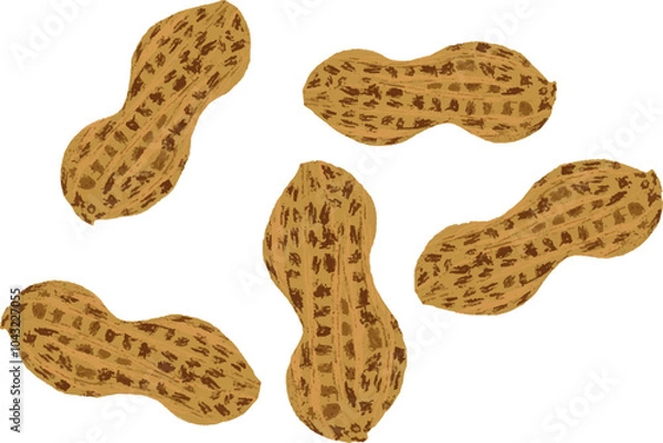 Obraz Illustration of Peanuts 