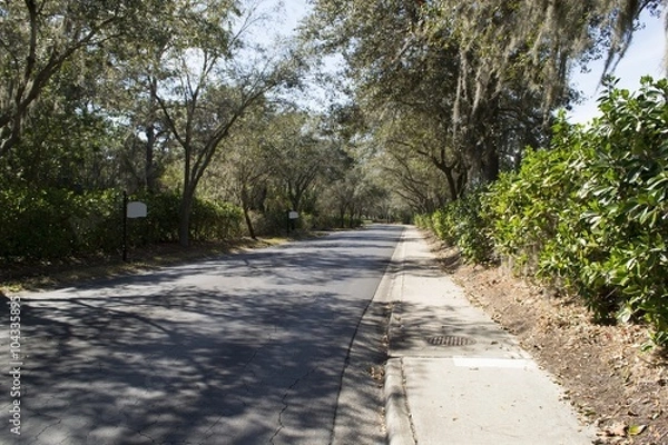 Obraz Street in rural Florida