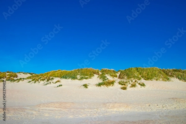 Fototapeta beautiful dunes with white sand and blue sky in the background on the island of Rømø in Denmark