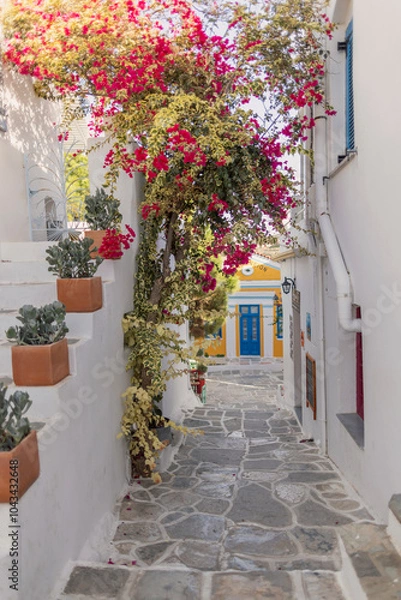 Obraz Wander through the picturesque lanes of Hydra, where traditional houses are enhanced by blooming bougainvillea and rustic stone pathways, creating a serene summer atmosphere.