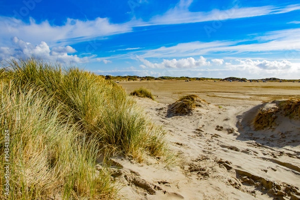 Fototapeta beautiful nature with dunes and white sand on Rømø Island in Denmark
