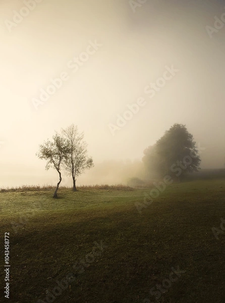 Obraz Jesienne mgły