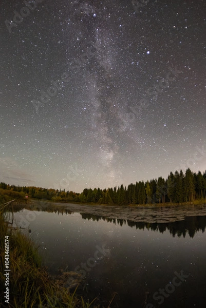 Obraz The Milky Way over the pond