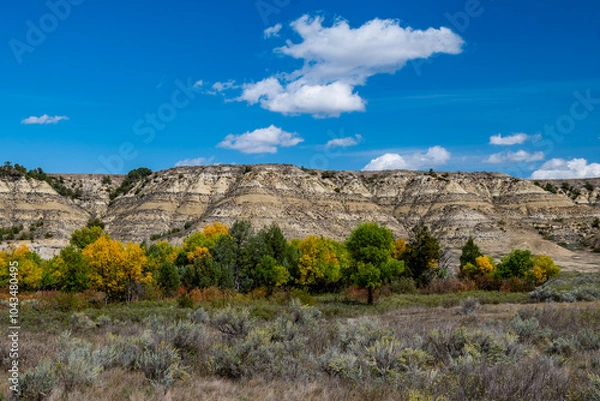 Obraz Colorful Trees in Theodore Roosevelt National Park