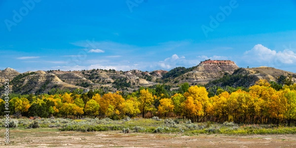 Obraz Colorful Trees in Theodore Roosevelt National Park
