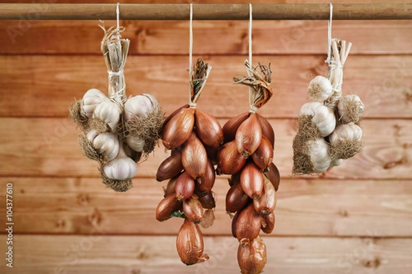 Obraz Onion and garlic strings