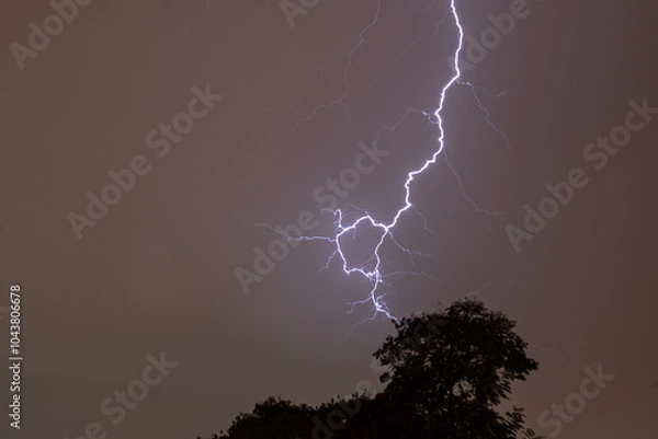 Fototapeta Lightning at evening sky looks like popping from a tree top