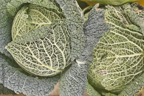 Fototapeta Ortaggi e frutta al mercato 

