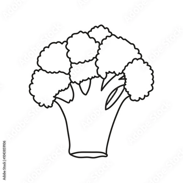 Fototapeta broccoli vegetable line art , broccoli icon ,broccoli vector illustration
