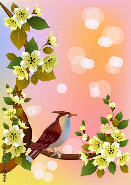 Obraz Sakura , bird . postcard .