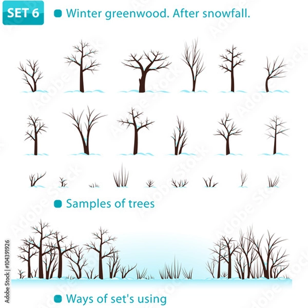 Fototapeta Winter greenwood. After snowfall. Set 6. (Winter deciduous forest.)