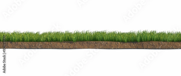 Fototapeta Soil and green grass layers isolated on white background