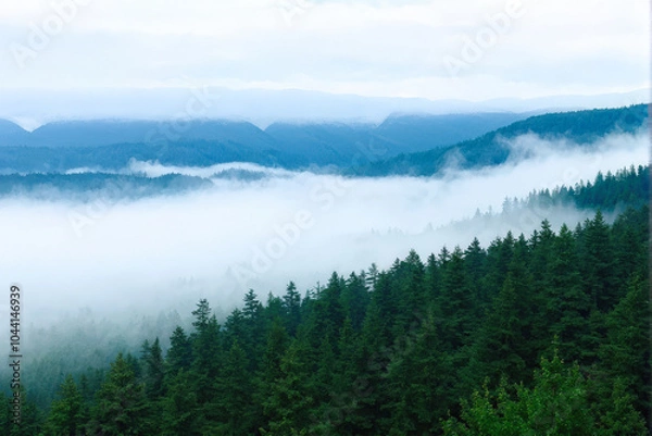 Fototapeta Serene mountain landscape with fog rolling through evergreen forests, creating a peaceful and mystical scene in nature. Generative AI