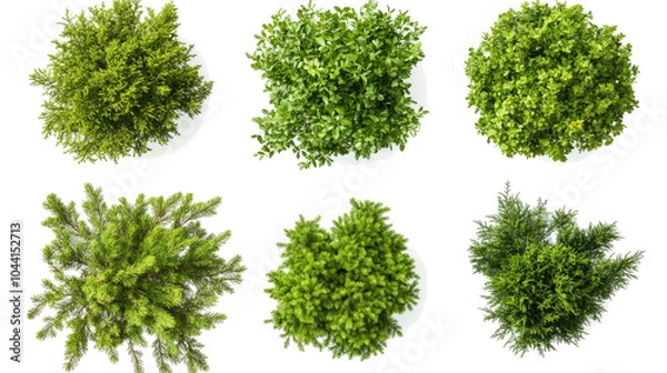 Fototapeta Green Trees and Shrubs Seen From Above on Clear Background Generative AI