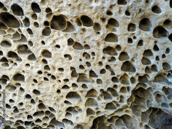 Obraz A unique geological formation resembling a honeycomb, with countless small cavities etched into the stone
