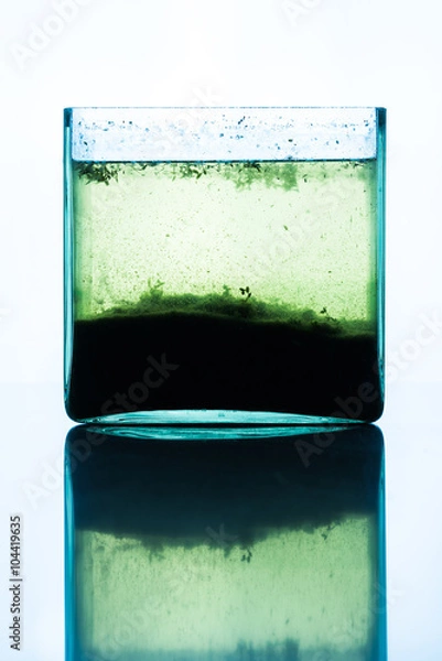 Obraz Aquarium in the lab