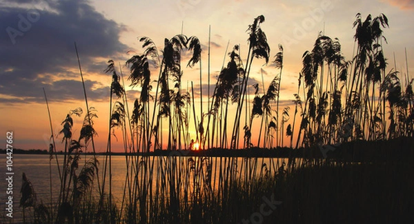 Obraz Камышовый рассвет