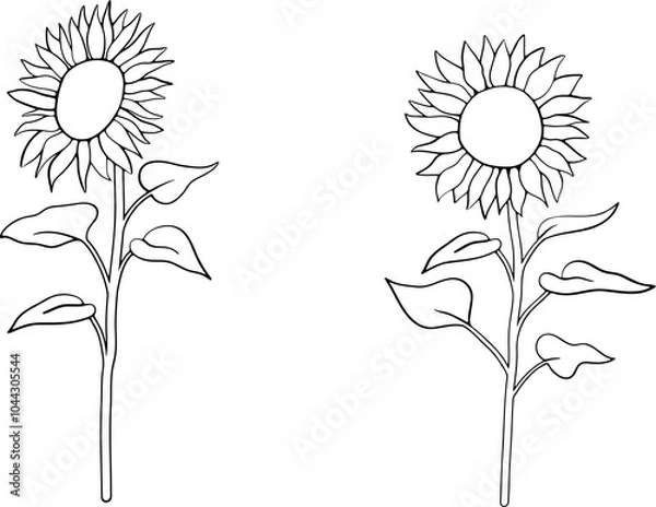Obraz Illustration of sunflower drawn with simple lines