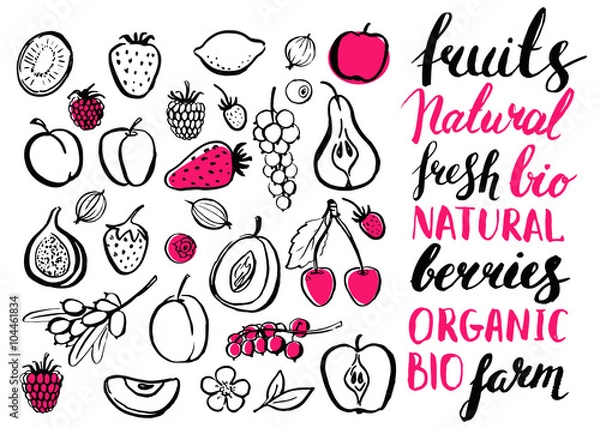 Fototapeta Vector handwritten food elements with rough edges