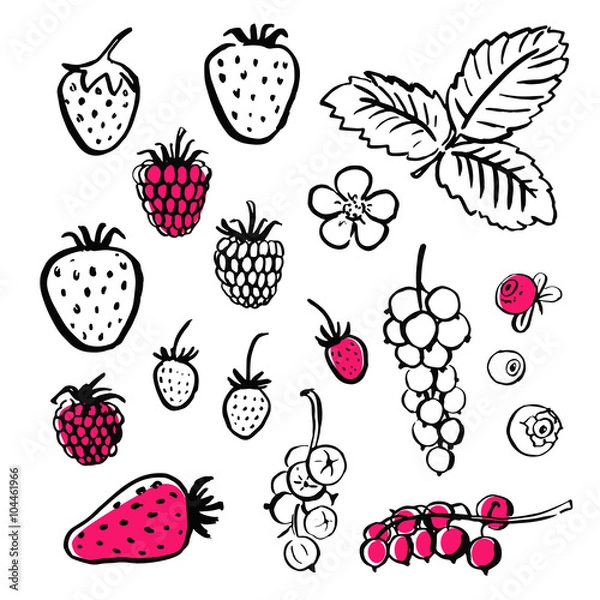 Fototapeta Vector handwritten food elements with rough edges