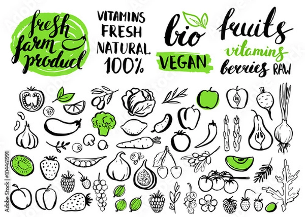 Fototapeta Vector handwritten food elements with rough edges.