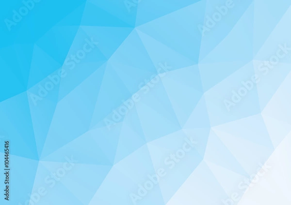 Fototapeta Abstract Polygon Geometric Vector Background