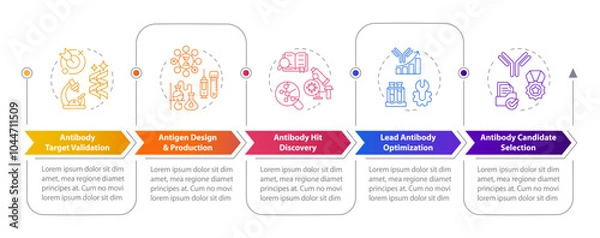 Fototapeta Stages in antibody discovery rectangular infographics. Biotechnology. Antigen production. Visualization template 5 options. Horizontal flowchart with line icons. Myriad Pro-Bold, Regular fonts used