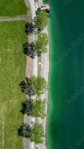 Fototapeta The Achensee view from top along a tree alley and the beautiful turquoise water as a beautiful nature contract composition
