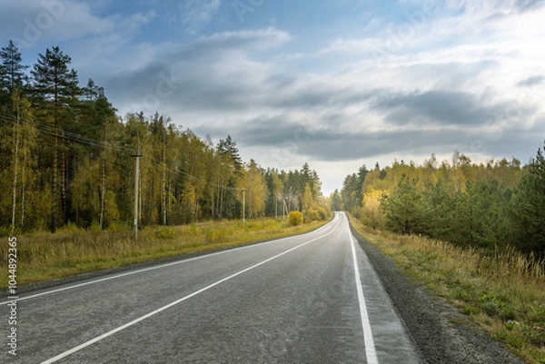 Fototapeta A road with trees in the background and a cloudy sky