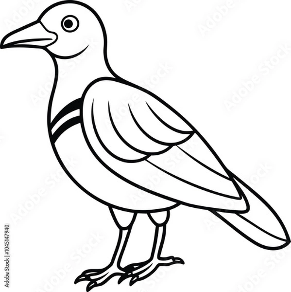 Obraz duck isolated on white