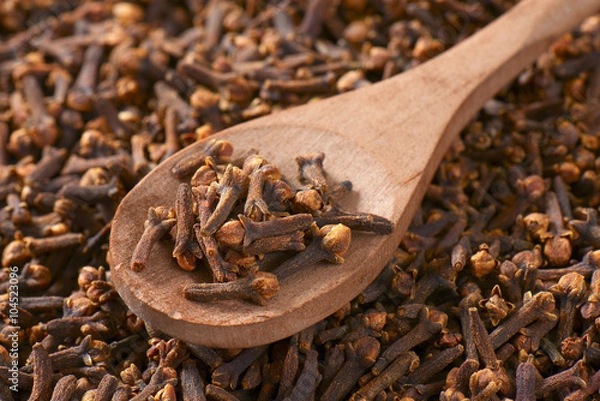 Obraz Dried cloves
