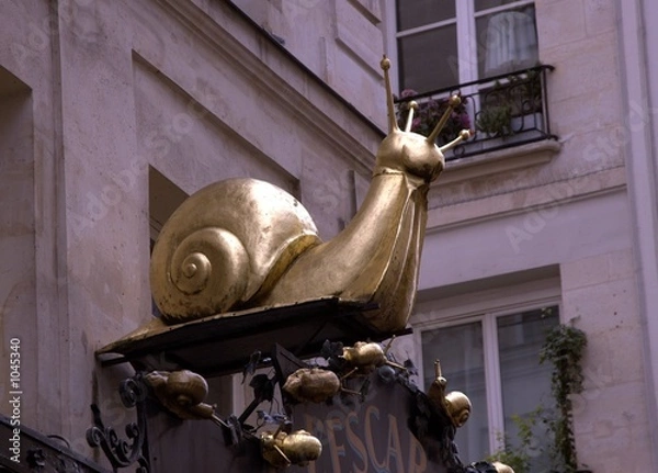 Obraz golden snail
