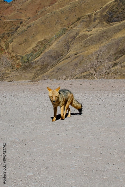 Obraz Postals from an amasing trip.