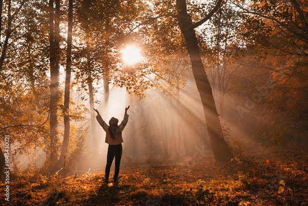 Obraz Silhouette of a woman in the forest in the morning mist
