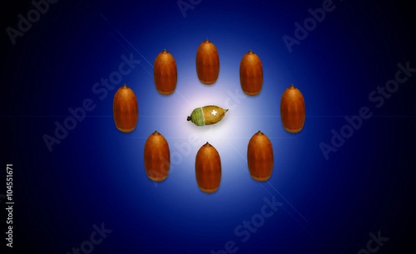 Fototapeta いじめ
（人間に例えた、大柄なドングリ達に取り囲まれ、いじめを受ける幼いドングリ）