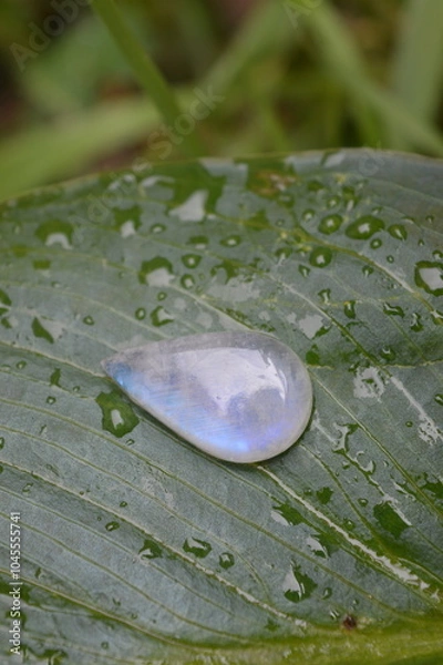 Obraz Moonstone gem on green background 