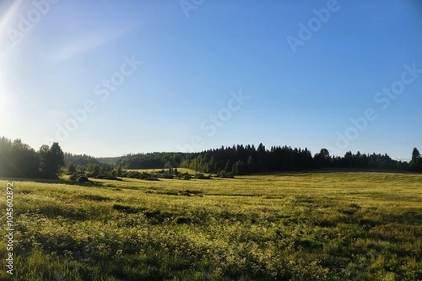 Obraz landscape with grass and sky