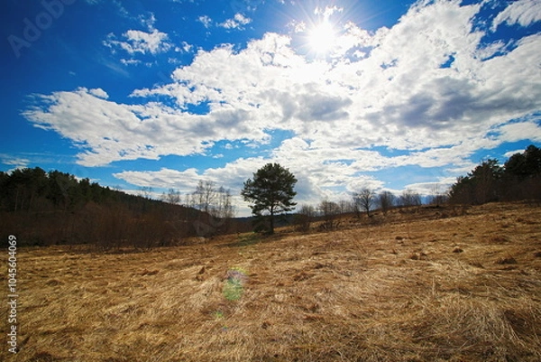 Obraz landscape with trees and clouds