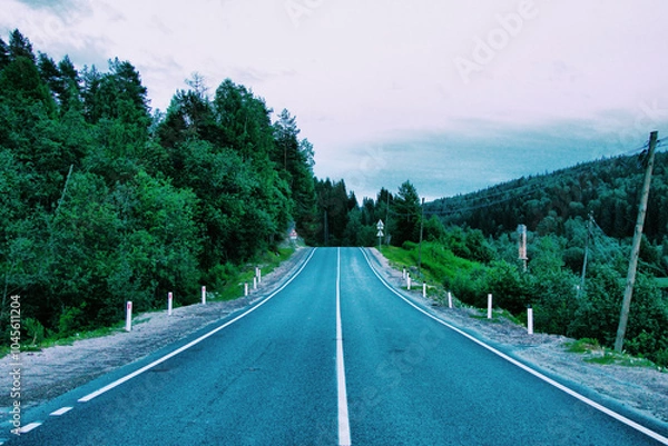 Obraz road in mountains