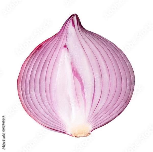 Fototapeta Top view of big red or purple onion bulb in half isolated with clipping path in png file format