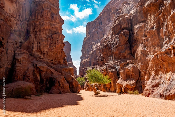 Obraz red canyon in the desert