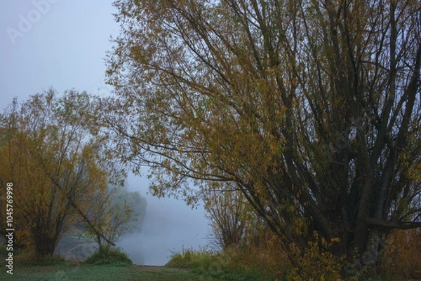Obraz Fish Lake Fall