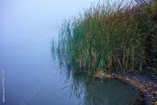 Obraz Fish Lake Fall